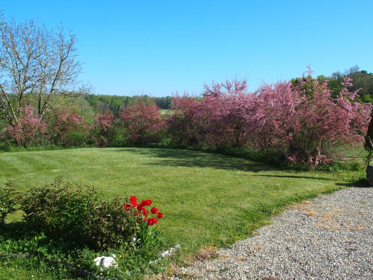 Les Tamaris Bed & Breakfast Castelnau-sur-Gupie Dış mekan fotoğraf